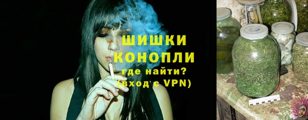 ПСИЛОЦИБИНОВЫЕ ГРИБЫ Пестово