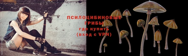 не бодяженный Пересвет