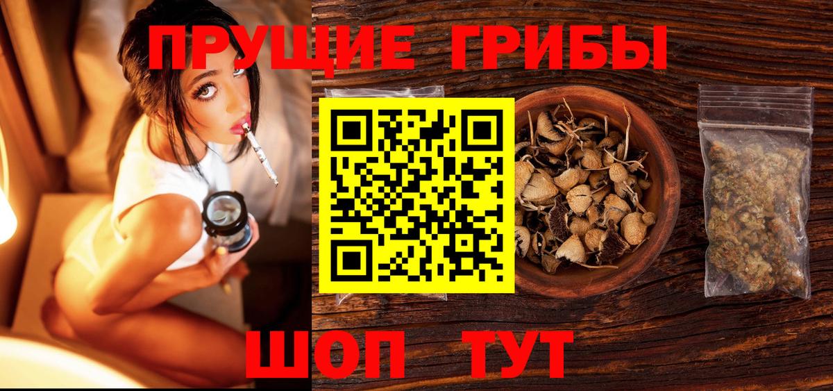 Псилоцибиновые грибы прущие грибы  Вход с VPN  Сыктывкар  Галлюциногенные грибы мухоморы 